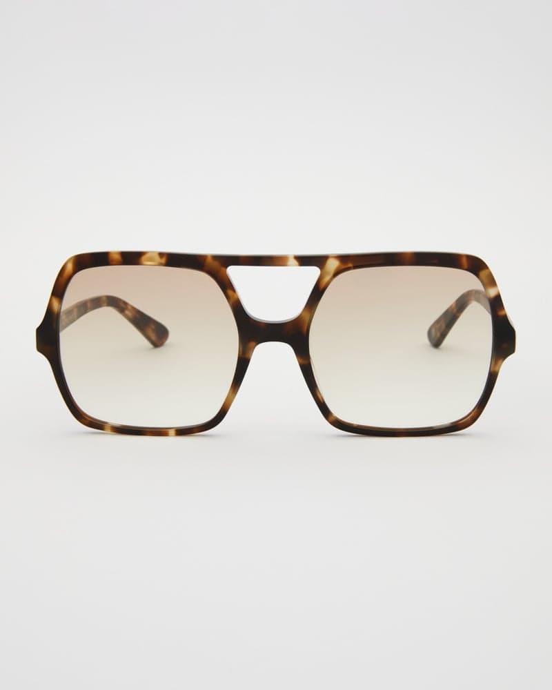 Lilly Turtle Brown Tinted Readers