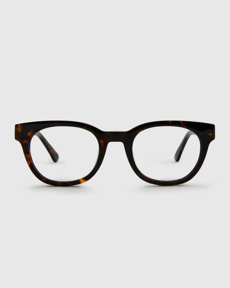 Jamie Turtle Brown Readers