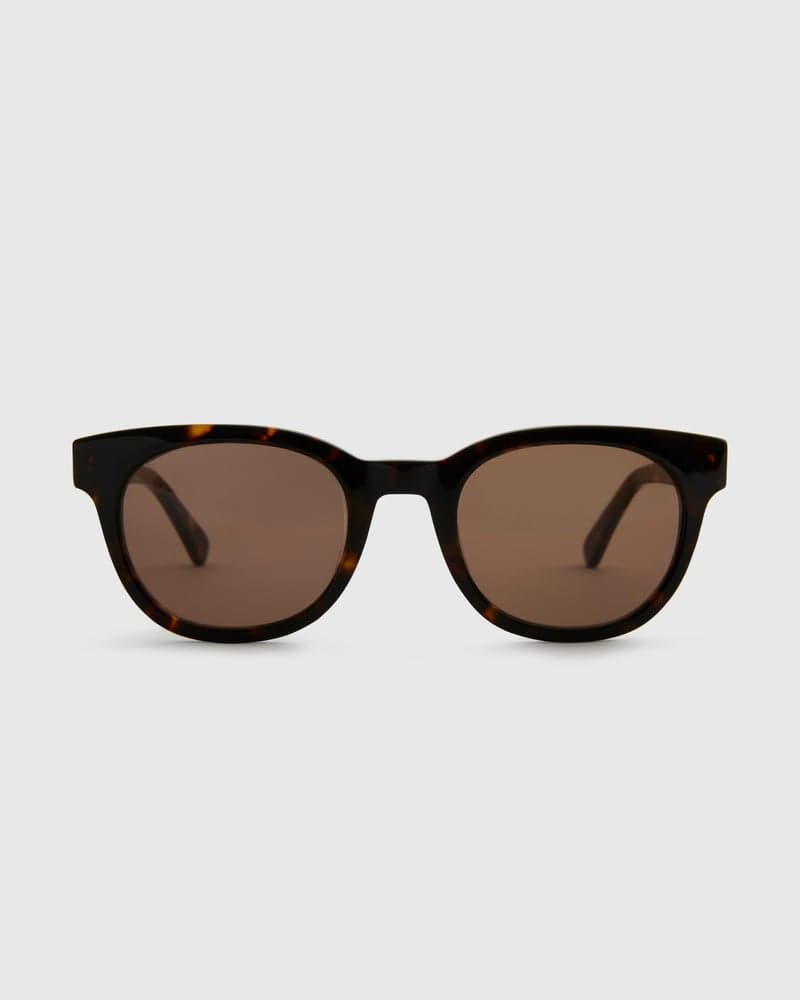 Jamie Turtle Brown Sunglasses
