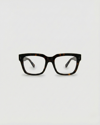 Noel Turtle Brown Readers