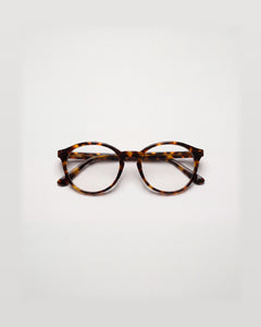 Jasmin Turtle Brown Blue Light
