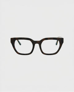 Kiara Turtle Brown Blue Light